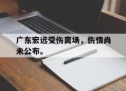 cq9电子在线注册-广东宏远受伤离场，伤情尚未公布。