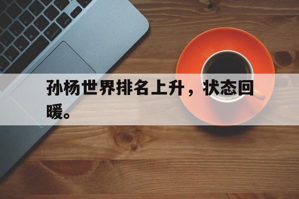 孙杨世界排名上升，状态回暖。